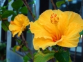DSCF0069a