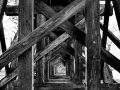 DSC_8265a
